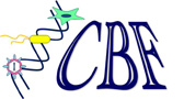 Logo_CBF_25.jpg